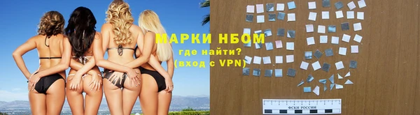 хмурый Арсеньев