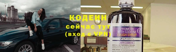 хмурый Арсеньев