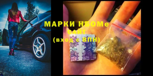 хмурый Арсеньев