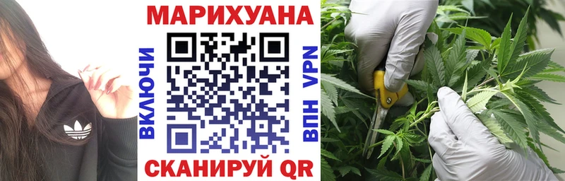 где продают наркотики  Колпашево  Бошки Шишки OG Kush 